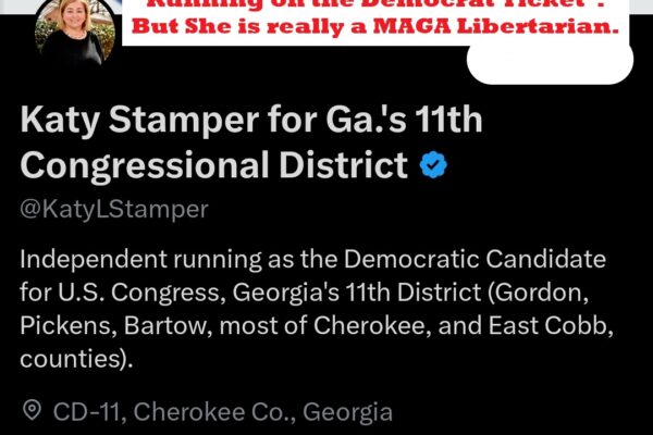 Katy Stamper FAKE Democrat